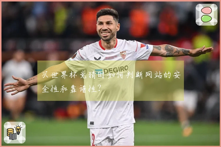 买世界杯竞猜时如何判断网站的安全性和靠谱性？